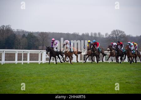 Ascot, Bergen, Großbritannien. 23rd. Januar 2022. Der SBL Handicap Steeple Chase (Klasse 3). Quelle: Maureen McLean/Alamy Stockfoto