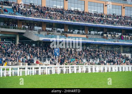 Ascot, Bergen, Großbritannien. 23rd. Januar 2022. Ein Tag voller Rennen in Ascot heute. Quelle: Maureen McLean/Alamy Stockfoto