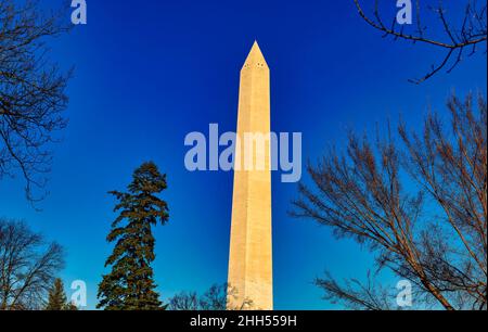 Das Washington Monument in Washington DC an einem hellen Wintertag. Stockfoto