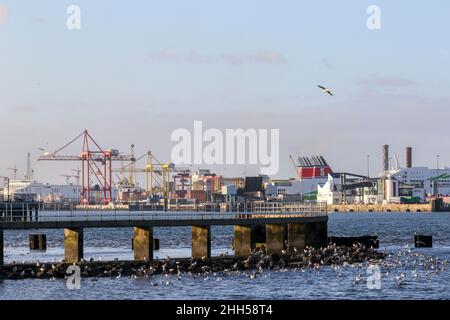 Industriekrane, Schiffe und Frachtschiffe in Dublin Hafenterminal docklands mit Stena Line Fähre. River Liffey Docks. Irland Stockfoto