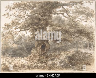 In the Park at Packington 1770–1812 Heneage Finch, 4th Earl of Aylesford British als Staatsmann und Patron britischer Kulturinstitutionen war Aylesford auch ein begnadeter Amateur-Zeichner und Radierer. Bevor er 1777 earl wurde, studierte der Künstler als Undergraduate in Oxford Zeichnen. Die starken Farbumrisse und die sichere Anwendung von Wasch in dieser reifen Zeichnung deuten auf ein Datum in der Mitte des Jahres 1780s hin. Italienische Präzedenzfälle beeinflussten seine Zeichenkunst, aber seine expressive Antwort auf einen Baum, der auf seinem Anwesen in Warwickshire gefunden wurde, erinnert an Rembrandt. (Aylesford sammelte den holländischen Mast aus dem 17. Jahrhundert Stockfoto