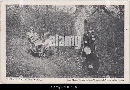 'Queen Alexandra Wood: Lord Mayor Treloar Cripples' Home and College, Alton', Hampshire: Vier Kinder im Wald, ein Mädchen auf Krücken, ein anderes in einem dreirädrigen Rollstuhl. Diese Postkarte wurde 1911 verschickt Stockfoto