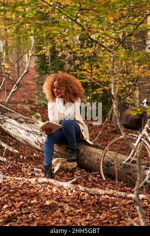 Frau, die Buch liest, sitzt auf dem Holzbuch im Herbstwald Stockfoto