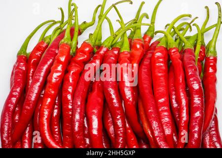 Red Chili Curly ist eine der am häufigsten angebauten und verkauften roten Chilischoten in Indonesien. Viele indonesische Gerichte verwenden diese Art von Chili. Stockfoto
