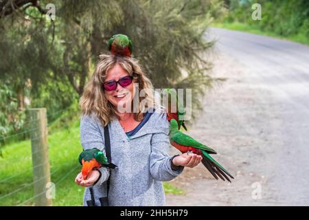 Lächelnde Frau, die Königspapageien am Straßenrand füttert Stockfoto