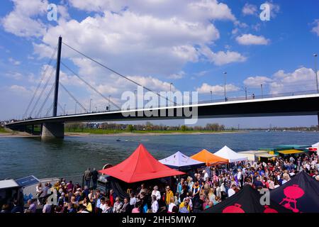 Der beliebte Fischmarkt in Düsseldorf am Rhein an einem sonnigen Sonntag. Oberkasseler Brücke im Hintergrund. Oberkassel ist ein Stadtteil von Düsseldorf. Stockfoto