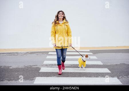 Lächelnde Frau, die mit dem Hund Jack Russell Terrier die Straße überquert Stockfoto