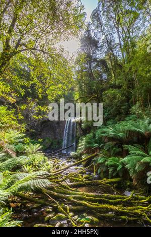 Die Sonne scheint über den Hopetoun Falls am Aire River Stockfoto