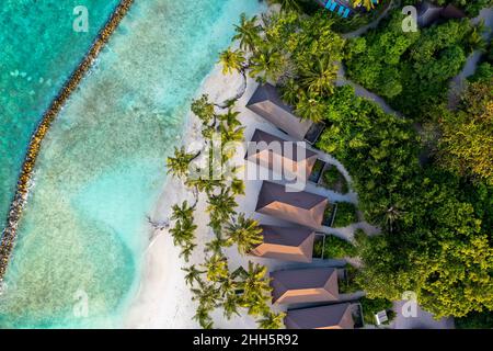 Häuser und Palmen in Strandnähe auf der Insel Kuredu im Lhaviyani Atoll, Malediven Stockfoto
