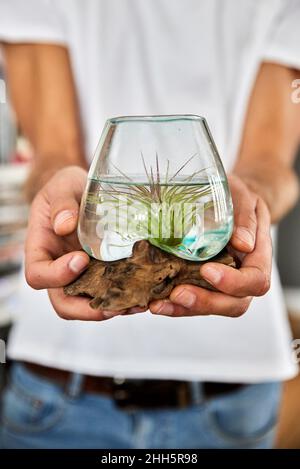 Mann, der zu Hause eine kleine Pflanze im Glas hält Stockfoto