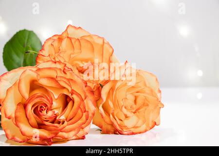 Bouquet von gelben Rosen auf beigem Hintergrund. Geschenk zum Valentinstag. Stockfoto