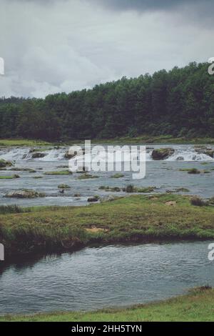 Grüner Kiefernwald und schöner Pykara Wasserfall in der Nähe von Ooty Hill Station in tamilnadu, südindien Stockfoto