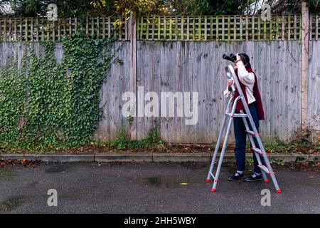 Junge Frau schaut durch ein Fernglas, das an einer Leiter auf einem Fußweg steht Stockfoto