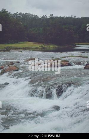 Grüner Kiefernwald und schöner Pykara Wasserfall in der Nähe von Ooty Hill Station in tamilnadu, südindien Stockfoto