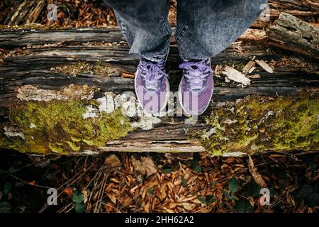 Wanderer, der auf moosbedeckten, im Wald umgestürzten Bäumen steht Stockfoto
