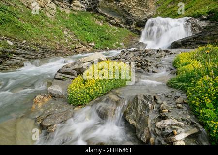 Wasser fließt auf dem Col de l'Iseran Bergbach, Vanoise Nationalpark, Frankreich Stockfoto