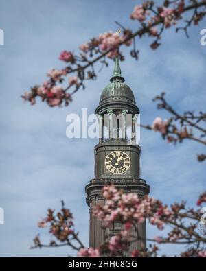 Deutschland, Hamburg, St. Michaels Kirchturm mit Kirschblüten im Vordergrund Stockfoto