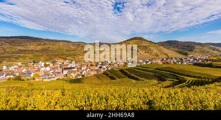 Deutschland, Baden-Württemberg, Vogtsburg im Kaiserstuhl, Weinberge rund um die ländliche Stadt im Kaiserstuhl-Bereich Stockfoto