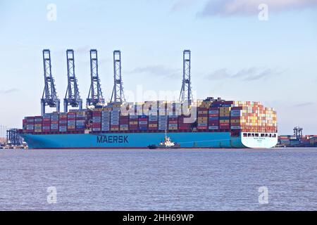 Das Containerschiff Maersk Edmonton dockt im Hafen von Felixstowe, Suffolk, Großbritannien, mit Unterstützung des Schleppers Svitzer Kent an. Stockfoto
