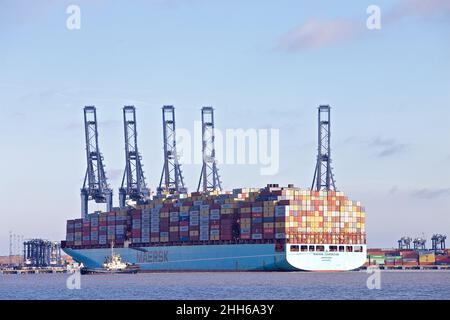 Das Containerschiff Maersk Edmonton dockt im Hafen von Felixstowe, Suffolk, Großbritannien, mit Unterstützung des Schleppers Svitzer Kent an. Stockfoto