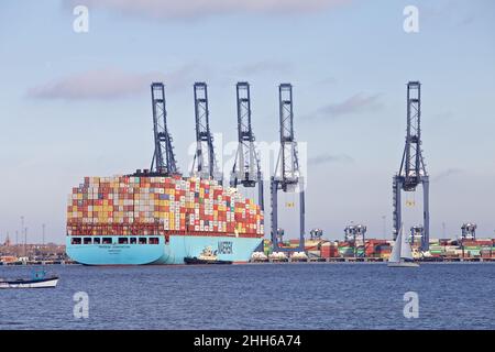 Das Containerschiff Maersk Edmonton dockt im Hafen von Felixstowe, Suffolk, Großbritannien, mit Unterstützung des Schleppers Svitzer Shotley an. Stockfoto
