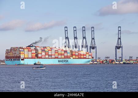 Das Containerschiff Maersk Edmonton dockt im Hafen von Felixstowe, Suffolk, Großbritannien, mit Unterstützung des Schleppers Svitzer Shotley an. Stockfoto
