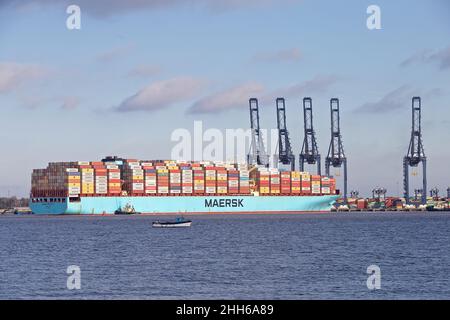 Das Containerschiff Maersk Edmonton dockt im Hafen von Felixstowe, Suffolk, Großbritannien, mit Unterstützung des Schleppers Svitzer Shotley an. Stockfoto