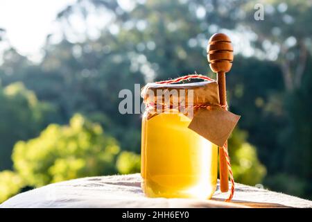 Honig mit Honig-Dipper und Holzstab. Bio-Blütenhonig vor verschwommenem Hintergrund mit Bäumen in Brasilien Stockfoto