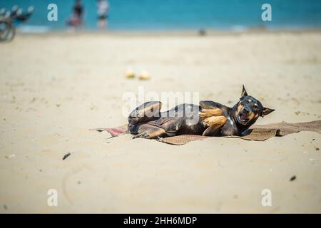 Strandleben am Khao Kalok Strand südlich von Hua hin in der Prachuap Khiri Khan Provinz in Thailand Stockfoto