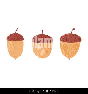Eicheln auf weißem Hintergrund einstellen. Herbstsaison Eicheln braune Farbe mit Blumen und Blättern handgezeichnet in Doodle-Stil Vektor-Illustration. Stock Vektor
