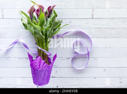 Ein Bouquet aus violetten Cala Lilien mit einem violetten Band in der Form einer Acht. Stockfoto