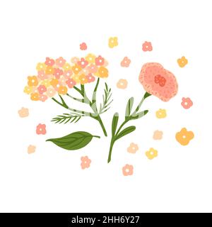 Komposition aus Blumen und Laub auf weißem Hintergrund. Abstrakte botanische Skizze Schafgarbe und Mohnblume Hand in Stil Doodle Vektor-Illustration gezeichnet. Stock Vektor