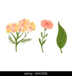 Set aus Blumen und Laub auf weißem Hintergrund. Abstrakte botanische Skizze Schafgarbe, Mohnblume und Blatt handgezeichnet in Stil Doodle Vektor-Illustration. Stock Vektor