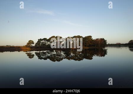 Hatchet Pond in der Nähe von Beaulieu im neuen Forest, Hampshire Stockfoto