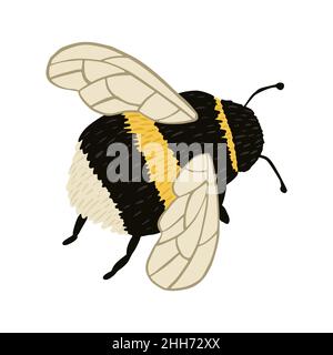 Hummel isoliert auf weißem Hintergrund. Abstraktes Insekt zur Bestäubung in schwarz-gelber Farbe in Doodle-Stil Vektorgrafik. Stock Vektor