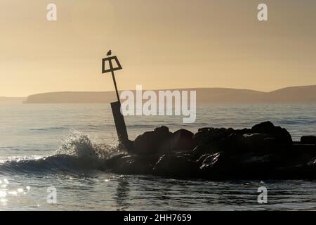 Boscombe Bay in Dorset im Morgengrauen. Rock Breakwater mit einer Möwe auf einem Pfosten sitzen. Stockfoto