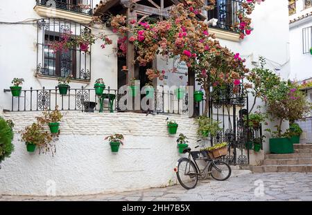 ESTEPONA COSTA DEL SOL ANDALUCIA SPANIEN CASA FLORESTOS WEISSES HAUS GRÜNE TÖPFE UND ROTE BOUGAINVILLEA Stockfoto