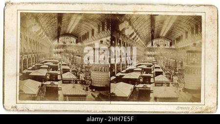 [Gruppe von 266 Stereographenansichten der Weltausstellungen 1855 und/oder 1867 in Paris, Frankreich] 1850s–1910s M. Leon Französisch. [Gruppe von 266 Stereographenansichten der Weltausstellungen 1855 und/oder 1867 in Paris, Frankreich]. M. Leon (Französisch). 1850s–1910s. Albumen Silberdrucke. London Stereoscopic Company (Großbritannien). Fotos Stockfoto