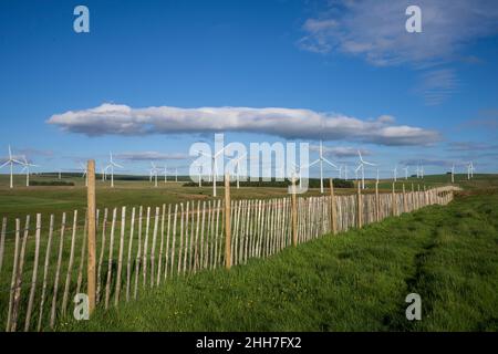 Windpark Dun Law, in der Nähe von Edinburgh Stockfoto