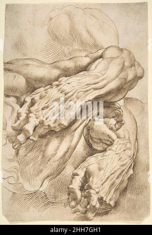 Anatomische Studien: Ein linker Unterarm in zwei Positionen und ein rechter Unterarm ca. 1600–1605 Peter Paul Rubens Flämisch Dieses beeindruckende Blatt zeigt Rubens' Verständnis des menschlichen Körpers und sein Engagement für rigorose anatomische Studien, wie sie in der italienischen Renaissance entwickelt wurden. Der gleiche mächtige linke Arm und die gleiche Hand erscheinen in zwei Positionen; jede Ansicht zeigt im Detail die Struktur der darunter liegenden Muskeln, Knochen und Blutgefäße. Ein rechter Arm und eine Hand sind teilweise unter einem sperrigen Arm verborgen, und Ansichten der linken Schulter von oben sind in verschiedenen Abstufungen gezeichnet.Rubens Stockfoto