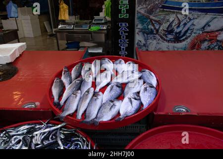 Fisch zum Verkauf an der Theke. Seebrasse und Blaufisch zum Verkauf. Rize - Türkei: 9. November 2021 Stockfoto