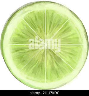 Vektor Aquarell Illustration einer Limette. 3D Aquarell-Illustration von frischem Kalk. Stock Vektor