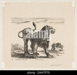 Tafel 6: löwe, aus 'verschiedenen Tieren' (Diversi animali) ca. 1641 Stefano della Bella Italienisch. Tafel 6: löwe, aus 'verschiedenen Tieren' (Diversi animali) 377288 Stockfoto