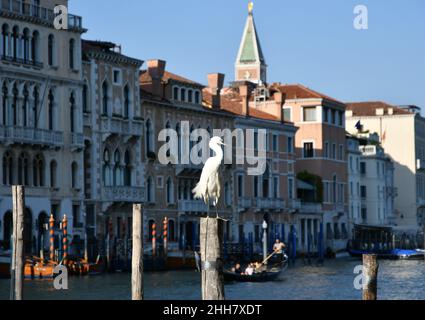 Venedig, Italien - 6. Dezember 2020: Gondoleer auf den Kanälen nach der Fahrt. Stockfoto