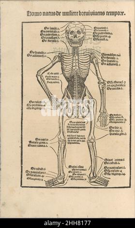 Ortus Sanitatis/ De herbis et plantis/ De Animalibus & reptilibus ... vor 1497 gedruckt bei Johann Prüss dem Älteren Deutsch. Ortus Sanitatis/ De herbis et plantis/ De Animalibus & reptilibus .... vor 1497. Holzschnitt. Bücher Stockfoto