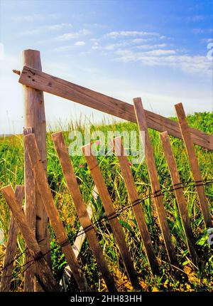 Cape Cod Strandzaun Stockfoto