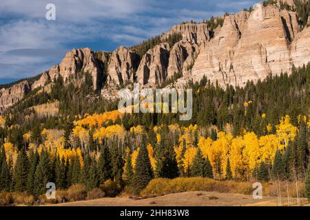 The High Mesa, mit seinen vielen vulkanischen Pinnacle Tuffformationen, liegt im Uncompahgre National Forest, Colorado. Stockfoto