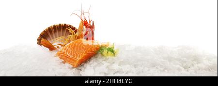 Rohes Lachsfiletsteak mit Tiger-Garnelen, Gamba Carabinero und Garnelen auf Eis isoliert auf weißem Hintergrund Stockfoto