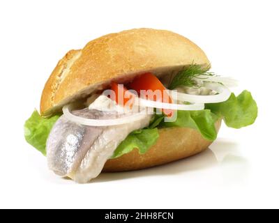 Matjes Hering - Fisch Bun auf weißem Hintergrund Stockfoto