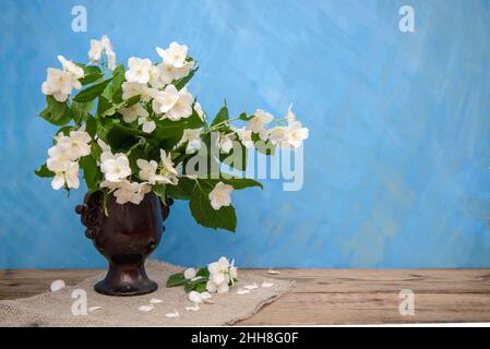 Bouquet von Zweigen blühenden Jasmins mit weißen Blüten in einer braunen Vase auf blauem Hintergrund Stockfoto